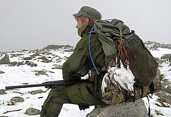 FJELLRYPE: Sunndalsfjella er typisk høyfjellsterreng som krever respekt. Rypa klarer seg fint. Den bor her. Verre er det med jegerne.