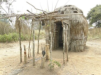 BOLIG: Tradisjonell hytte i bushen i Kongo.