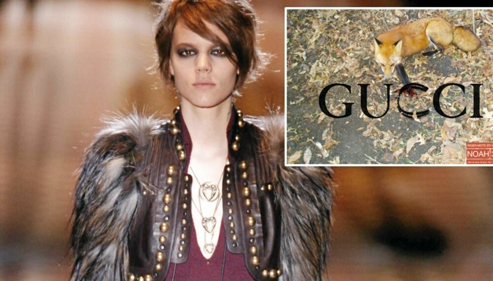 I FELLA: NOAHs antipels-kampanje retter seg i denne omgang mot motehuset Gucci.