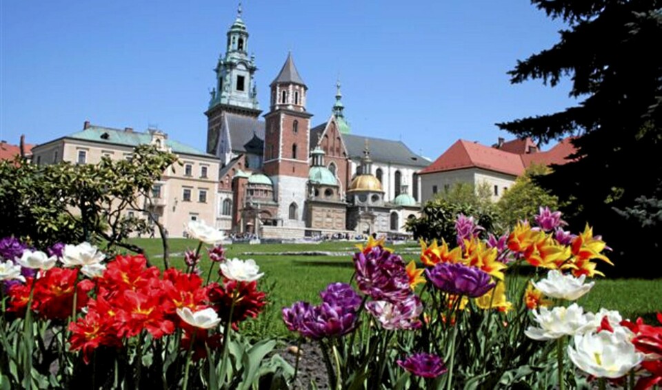 Den imponerende Wawel-katedralen.