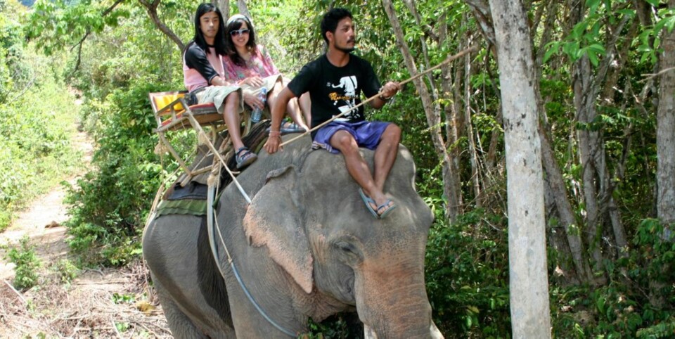 ELEFANTSAFARI: Mary Ma og Nicholas Yu fant seg til rette på elefantryggen.