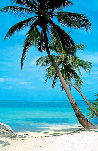 MALDIVENE: Med Star Tours supertilbud kan du fly tur/retur til Maldivene for 4000 kroner.