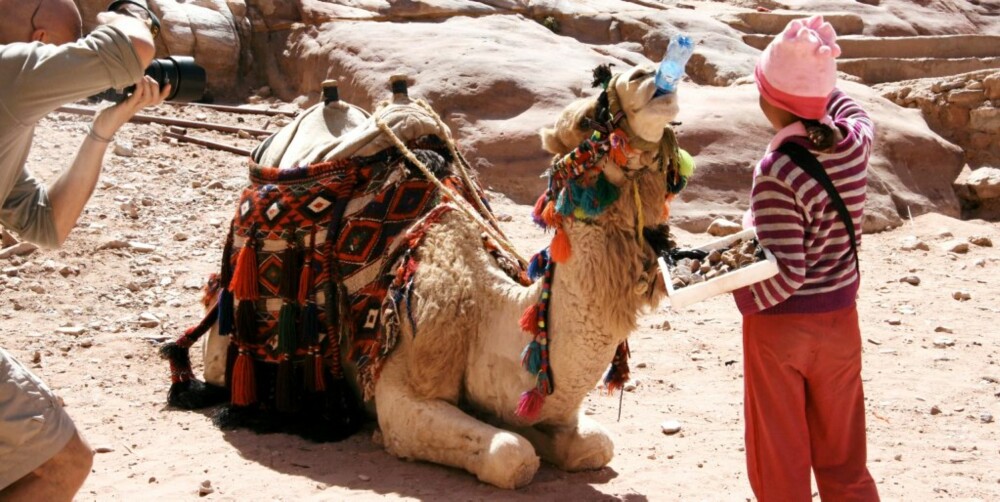 TØRST: Det er varmt i ørkenlandskapet - selv for en kamel.