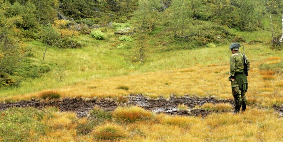 BRUNSTGROP: Det er skikkelig størrelse på brunstgropene.