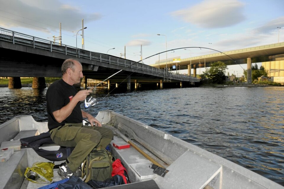 BY-FISKE: Det er ikke langt til butikker og vannigshull fra fiskeplassene.