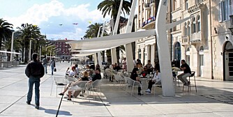 TRIVELIG: ta deg tid til en kopp kaffe under daddelpalmene på havnepromenaden Riva i Split.