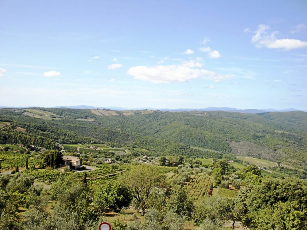 VINMARKER: Utsikten er, naturlig nok, vinmarker, når du bor på vingård.
