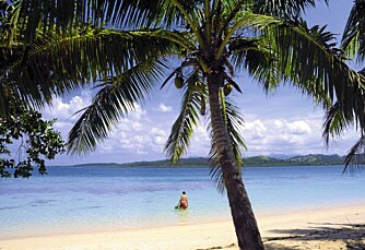 ØDE ØY: Trenger du litt fred og ro, er det ikke vanskelig å finne en strand for seg selv på en av Fijis 300 øyer.