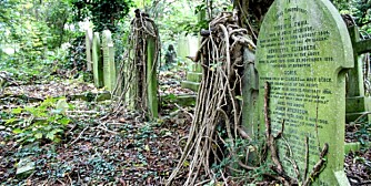 NESTEN 200 ÅR: Den private kirkegården Highgate Cemetery stammer tilbake til det 19. århundre.