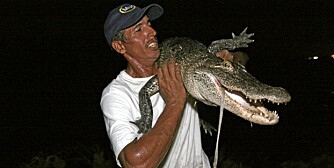 SPINN VILL: Ry fanger alligatorer med bare nevene!