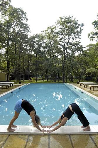 VANNGYM: På Purple Valley Yoga Retreat i Goa i India kan du starte dagen med yoga og kjøle deg ned i stedets basseng etterpå.