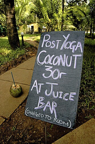 PÅFYLL: En nyplukket kokosnøtt gjør seg etter å ha startet dagen med yoga.