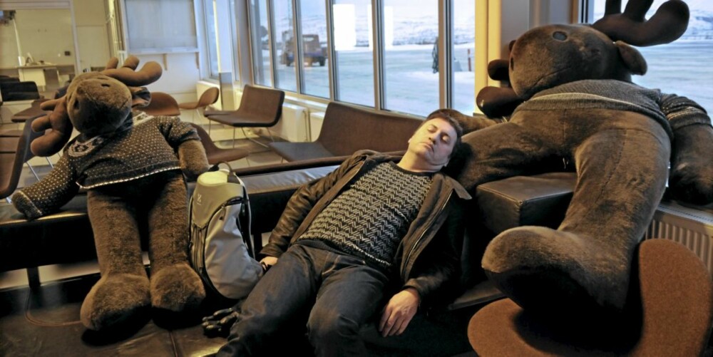 MØTTE ELGEN: Verdensmester i flysyke, Vi Menn-reporter Peter Nagy, pleier som regel å brøle etter elgen. Denne gangen sover han med skogens konge på flyplassen i Kirkenes.