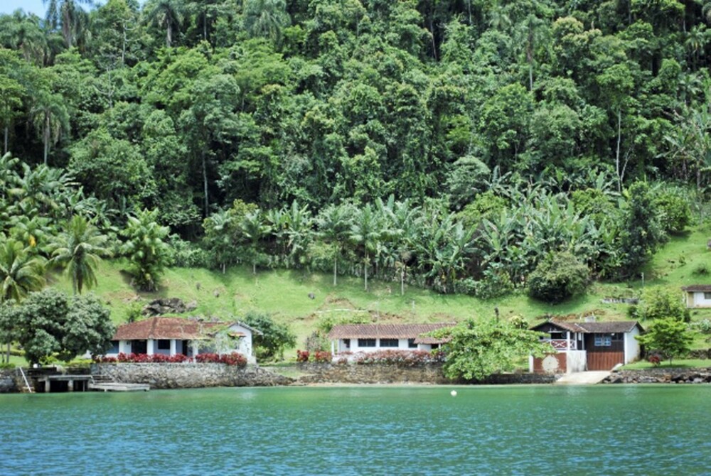 STOR ØY: Ilha Grande ¿ den store øya ¿ kan skryte av en stor regnskog hvor man kan finne utrydningstruede krokodiller, aper og papegøyer.