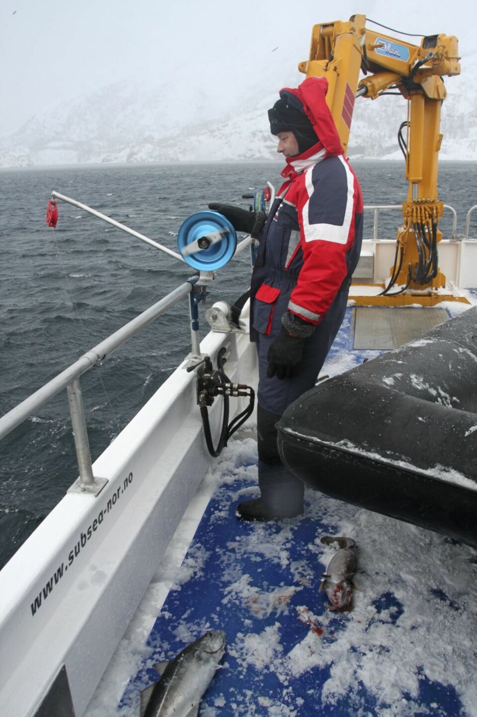 FAST FISK: Ola ga seg ikke - og det ble fisk. Sei, ikke skrei, nei!