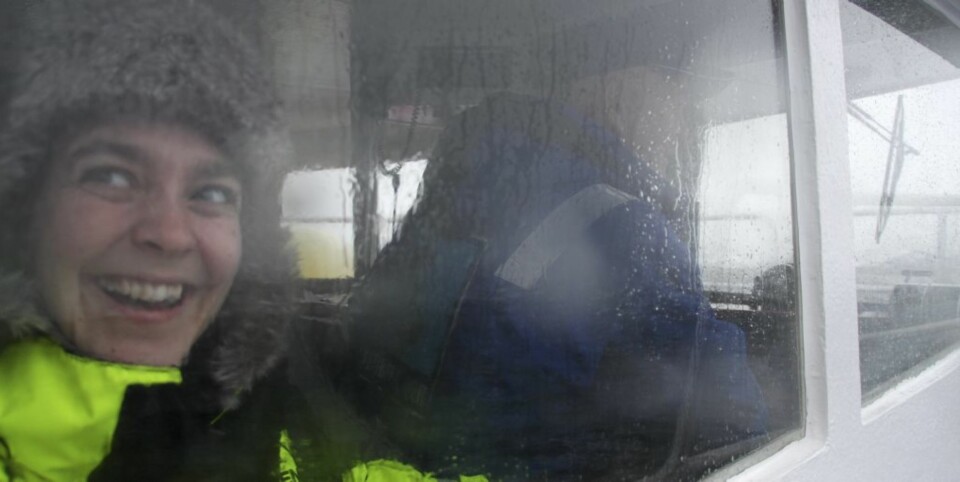 DET FINNES IKKE DÅRLIG VÆR: Bare dårlig klær, og båter . Vi hadde varme klær og en stødig båt med ditto mannskap gjorde Vesterålen til en flott opplevelse selv i ruskevær.