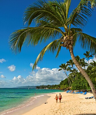 KARIBISK: Ekte karibisk stemning på stranden i Den dominanske republikk.