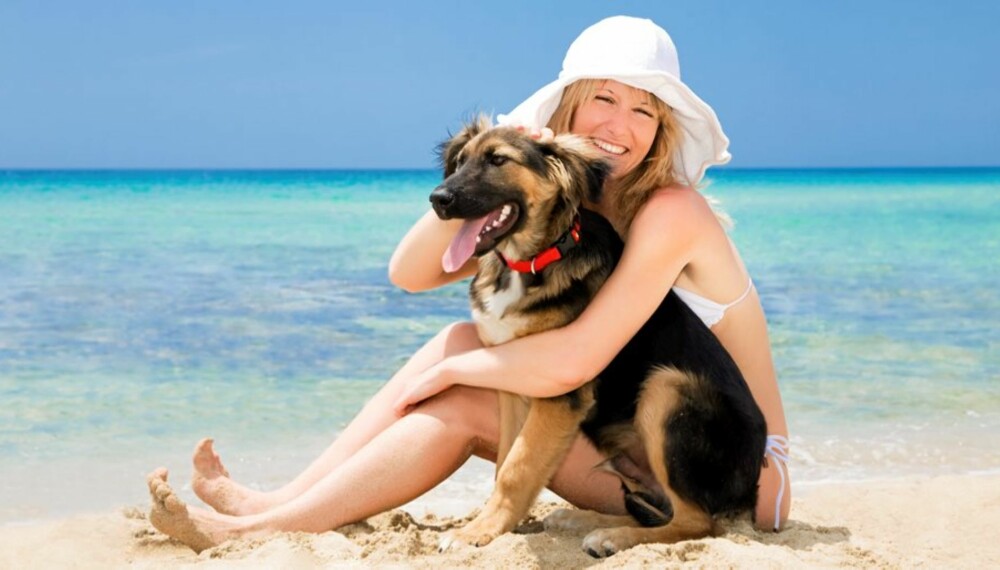 FERIE: Med Pet airways blir deg bedre for både deg og hunden å dra på ferie.