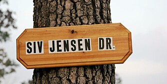 KJENDIS I SKOGEN: Kjente nordmenn har fått sine veiskilt i skogen. Arvid har sitt eget navn som veiadresse, men også Leiv Eiriksson, Olav Trygvasson, Cleng Persson og Siv Jensen har egne skilt.