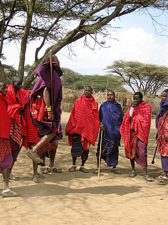 HOPP!: Tradisjonell masaidans inkluderer høye hopp. Mennene bytter på å synge og hoppe.