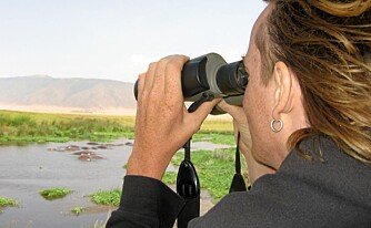KJEKT Å HA: Kikkert er godt tilbehør på safarien. Her spionerer Kjetil på en flokk flodhester i Ngorongoro-krateret.