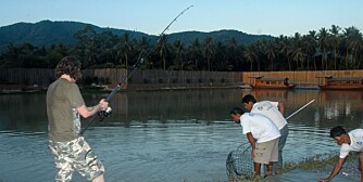 TIL FISKESPESIAL: Meitefiske i Thailand