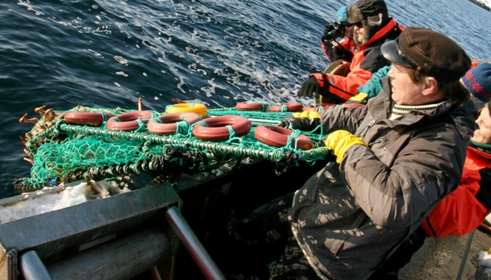 KONGEKRABBE: Bli med på kongekrabbefiske i Nord-Norge.