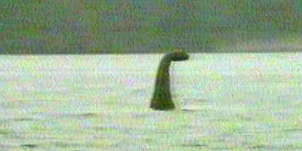 SJØORM: Dette er et av de mest troverdige fotografiene som finnes av sjøormen i Loch Ness. Det er tatt av Kenneth Wilson i 1934.