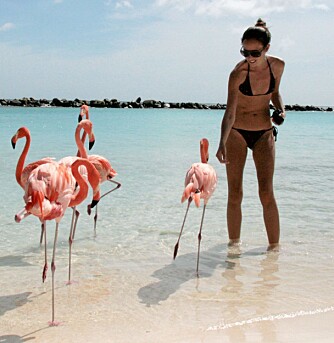 FLAMINGOER: Karin Nordin lar seg fascinere av flamingoene, som vandrer rolig rundt i vannkanten.