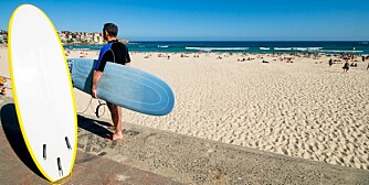 BONDI BEACH: I Sydney kan du kombinere deilig strandliv med pulserende storby.