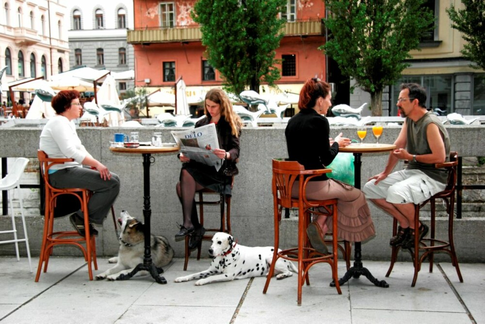 SPISE: Du finner en rekke gode restauranter og kafeer i Ljubljana og omegn.