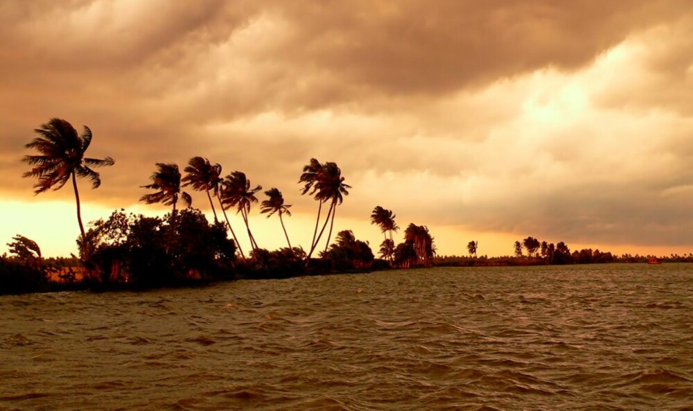INDISK IDYLL: Palmesus i vakre Kerala.
