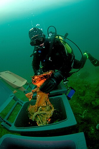 RESIRKULERER: Dykkerne i Gulen Dykkersenter er selv med på å holde havbunnen fri for søppel og skrot.