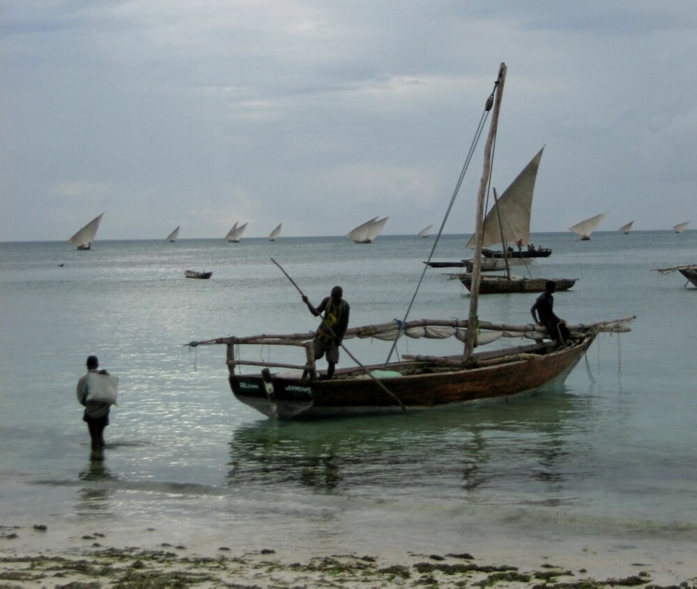 PÅ JOBB: Det er et vakkert skue når fiskerne drar ut med sine karakteristiske seilbåter. Her på nordsiden av Zanzibar.
