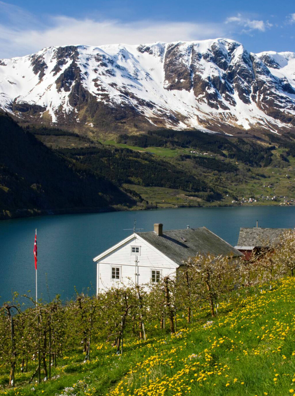 HARDANGER: Utlendingene elsker dette fruktbare fylket, men har du vært der? Eller synes du det holder med kalenderen på kjøkkenveggen?