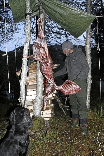 KJØTTMAT: Høsten ble brukt til jakt for å fylle kjøttlageret.