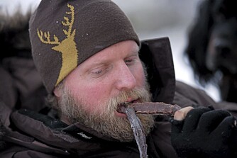 TØRKET KJØTT: Kristoffer har tørket kjøtt fra høstjakta, og får i seg proteiner.