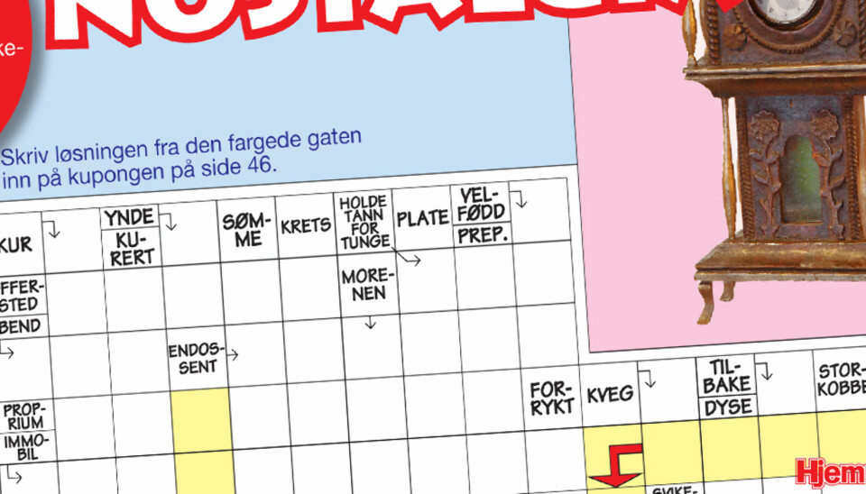 Våre Beste Kryssord