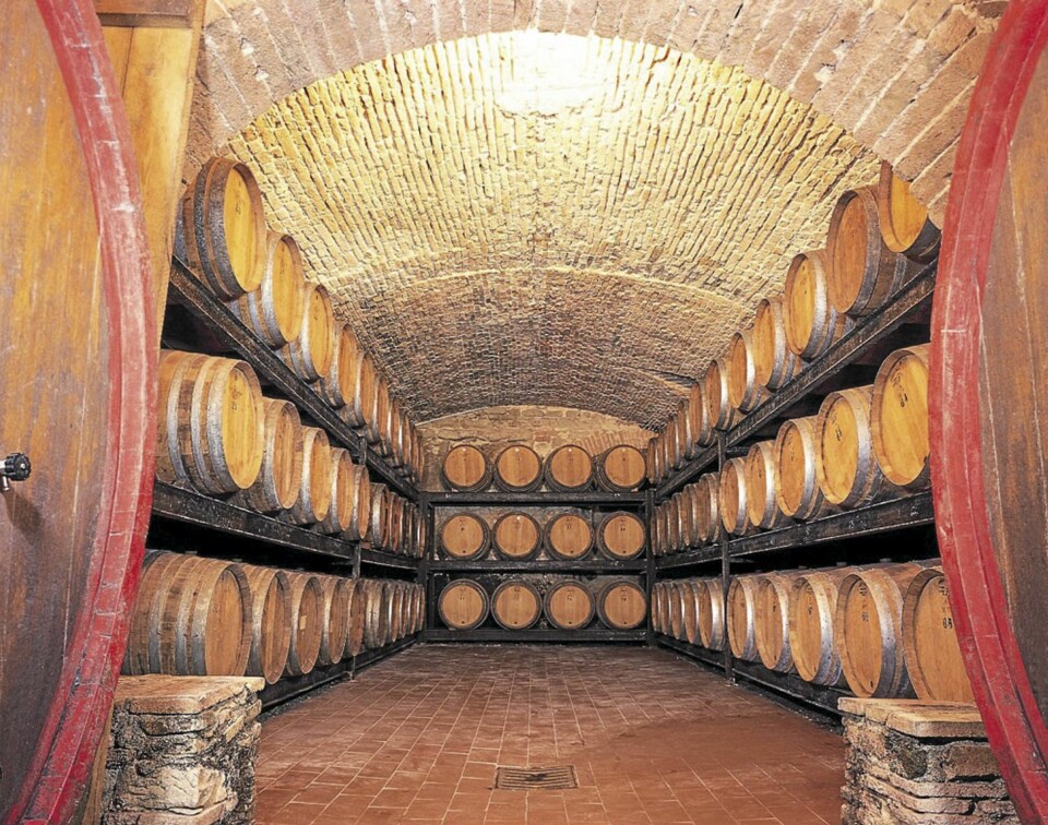 VINKJELLER: Vi skal besøke vingårdene Fonterenza og Vignamaggio i to av Italias mest berømte vindistrikter, Montalcino og Chianti Classico.