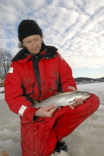 SJØØRETT: Også sjøørret kan fanges av isfiskere.