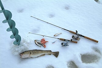 ENKIELT UTSTYR: DU trenger ikke allverdens av utstyr for å få fisk på isen.