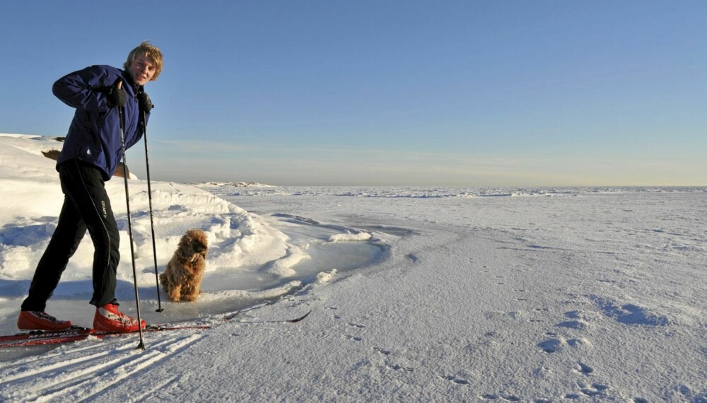 OSLOFJORDVIDDA: Bildet er ventet fra isen på vei ut til Fulehuk, men stemningen minner mye om Hardangervidda?