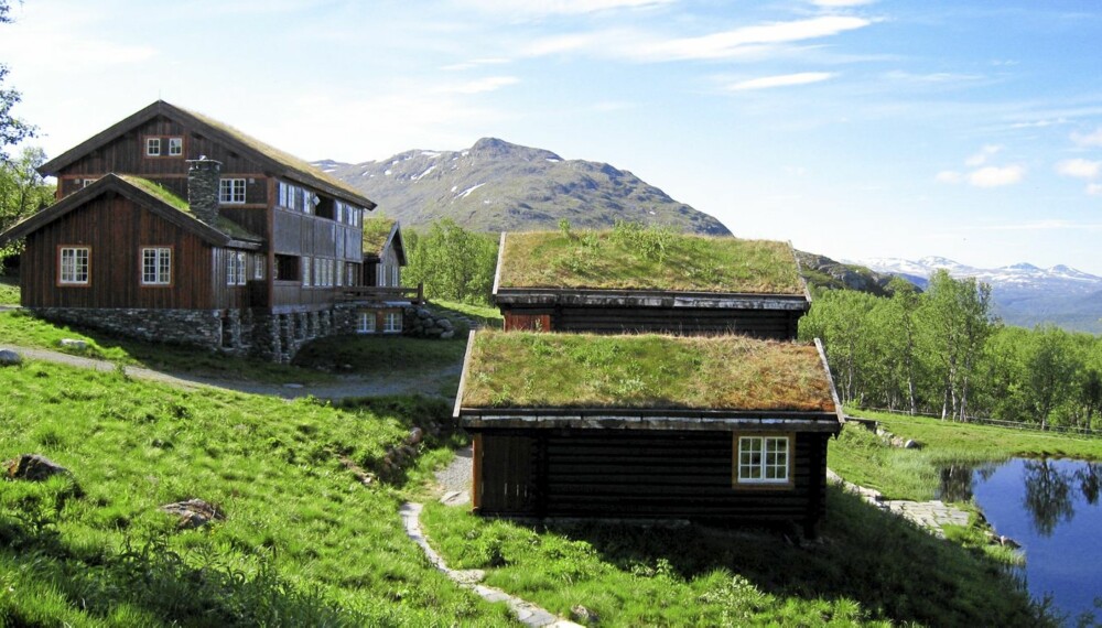 IDYLLISK: Harahorn ligger skjermet til omgitt av vakker natur, innerst i Grøndalen ved Hemsedal.