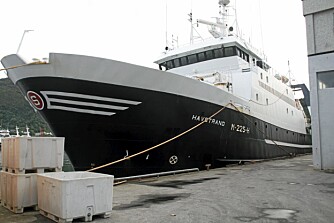HALVE ÅRET 160 av årets døgn er JArle ombord her, i ""Havstrand"".