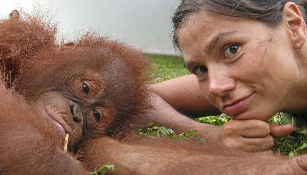 BLE SKREMT: Silje Hvarnes forteller til Her og Nå at hun ble livredd da apen gikk til angrep. Denne orangutangen på Borneo, er derimot av det vennlige slaget.