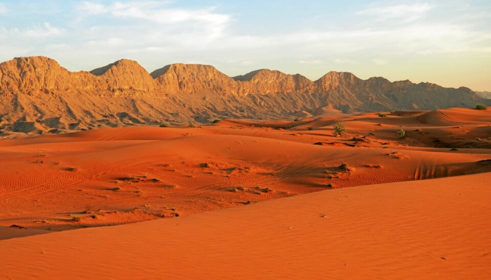 Reis med oss til eksotiske Dubai