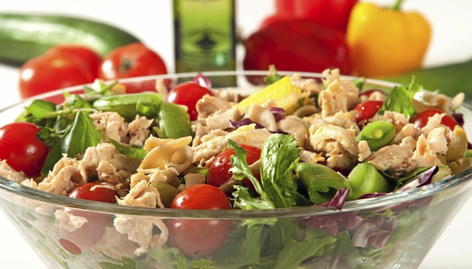 Kyllingsalat.