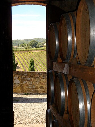 BRUNELLO: En verdenskjent vin fra Montalcino - lagres i flere år på eikefat etter høsting fra vinmarkene.