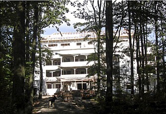 Vakkert beliggende mellom de skånske bøketrærne, ligger det konkurstruede meditasjonssenteret Yangtorp.