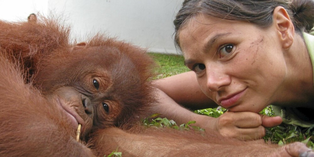 DYREKJÆR: På Borneo var "villdyrlegen" Silje i sitt rette element blant orangutangene.